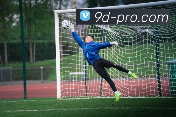 9D体育专业版APP 体育赛事宣传图